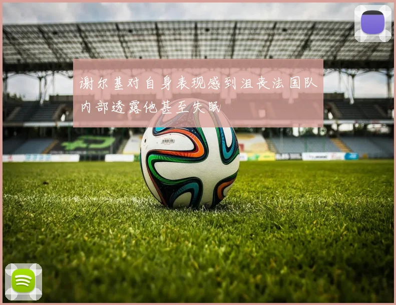 谢尔基对自身表现感到沮丧法国队内部透露他甚至失眠