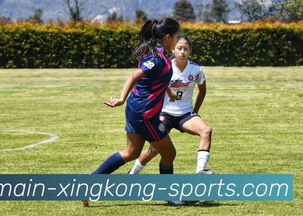 App界面